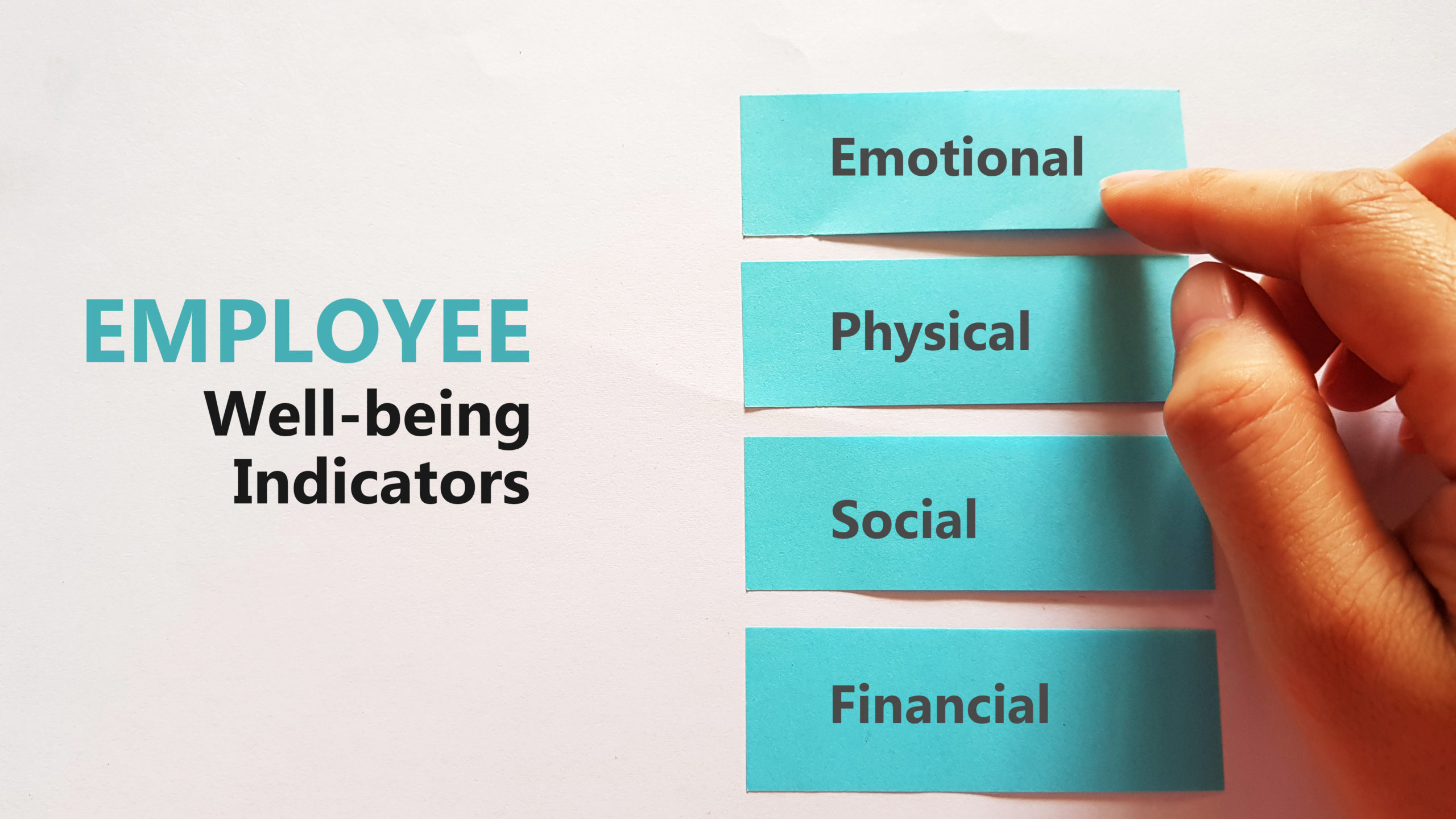 holistic approach to employee benefits